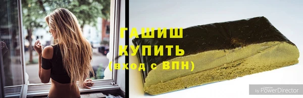 молекула духа Вяземский